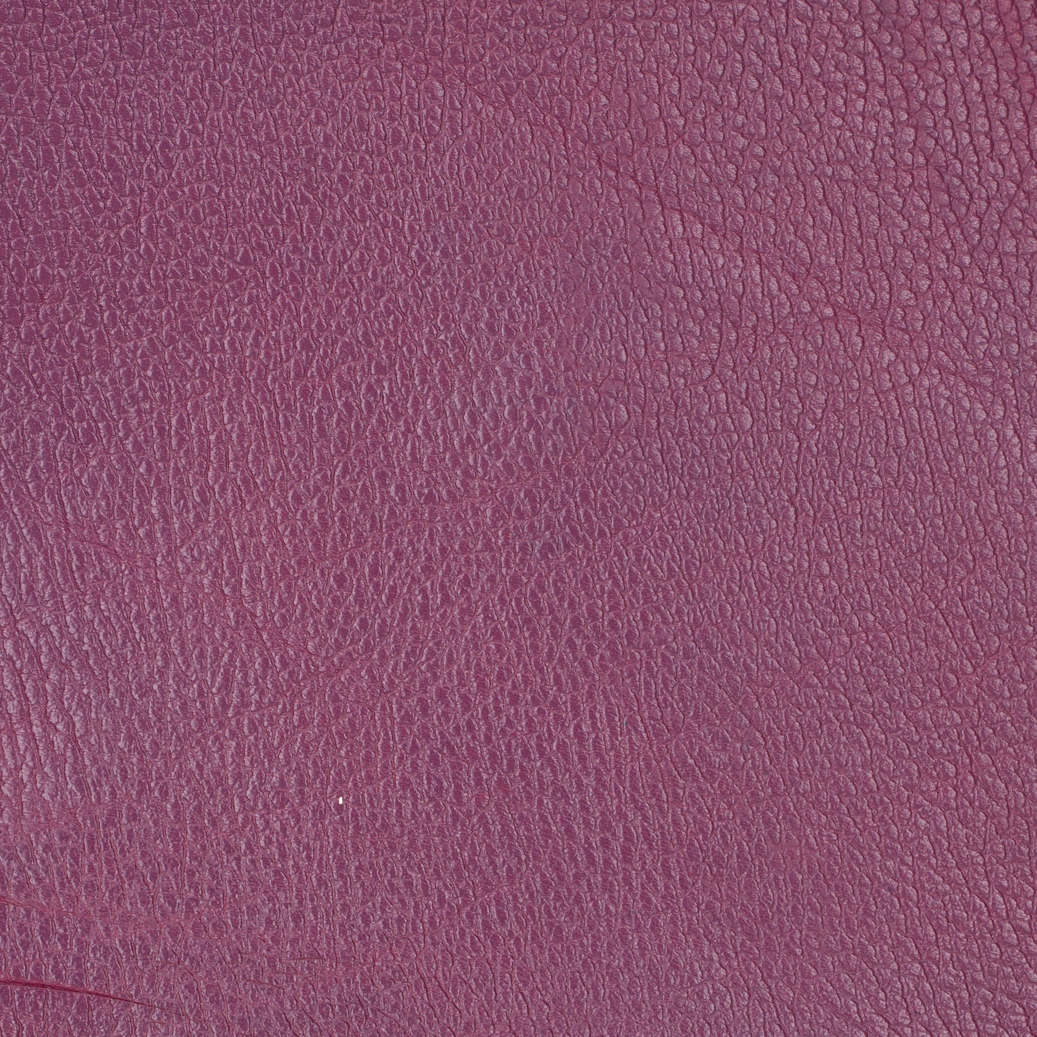AMR7