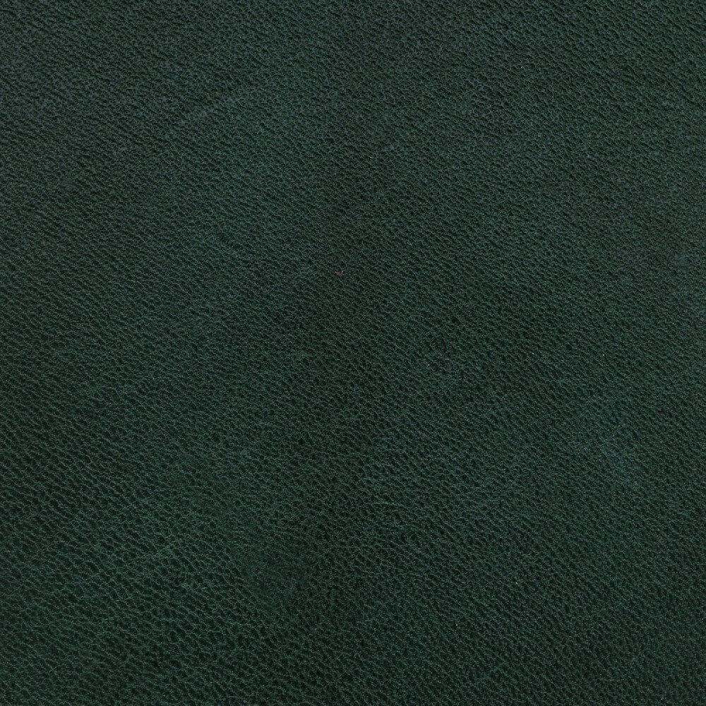vegetal-v6