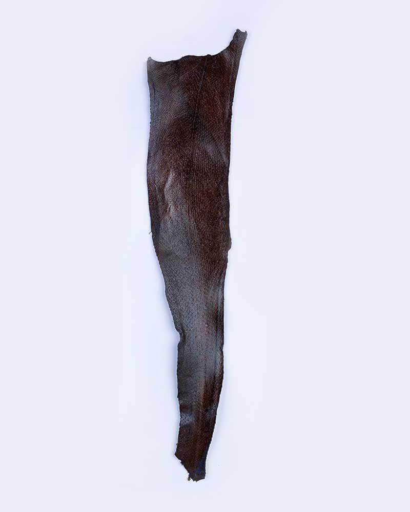 fish-leather-012