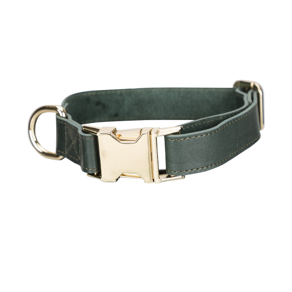 Scooby Geniune Leather Dog Collar