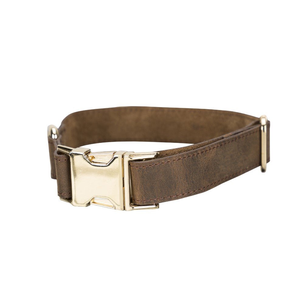 Scooby Geniune Leather Dog Collar