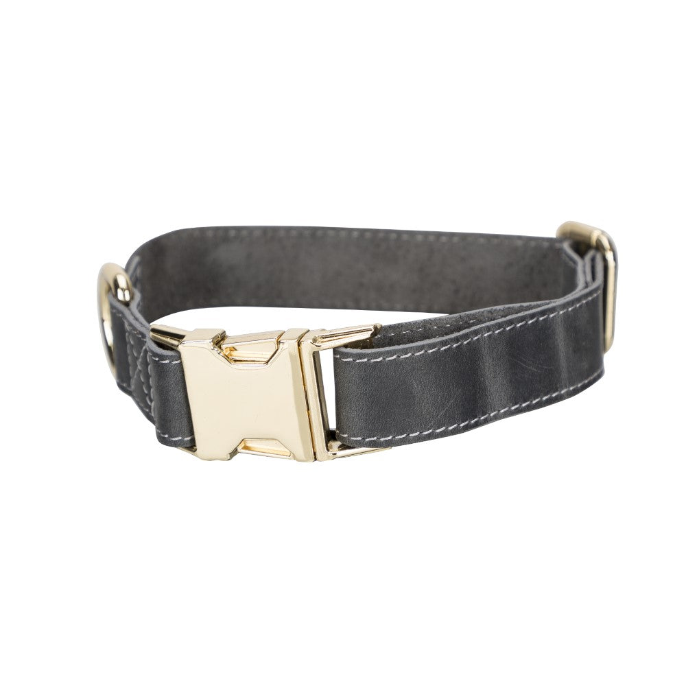 Scooby Geniune Leather Dog Collar