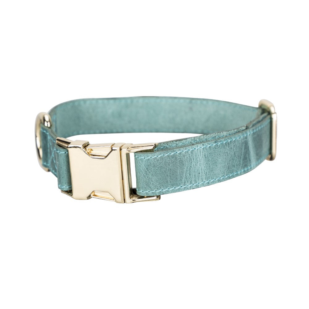 Scooby Geniune Leather Dog Collar