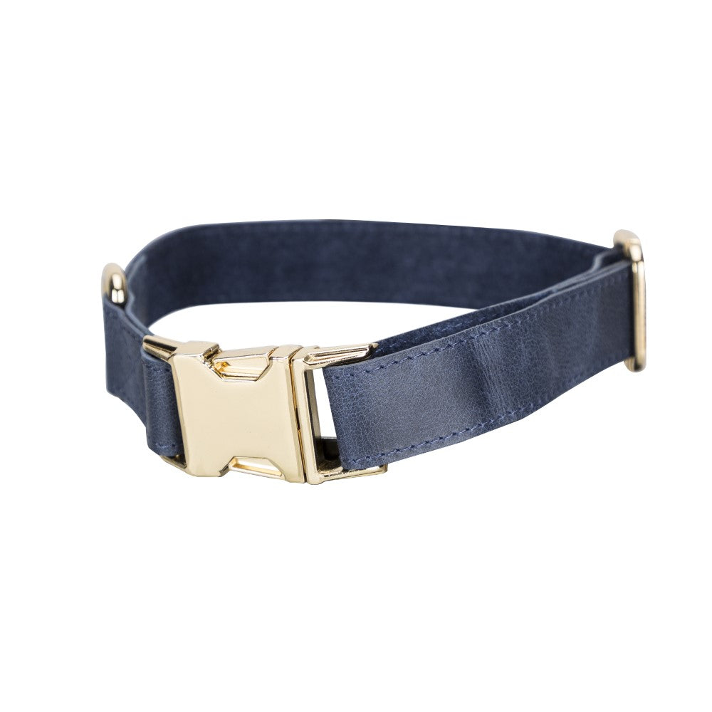 Scooby Geniune Leather Dog Collar