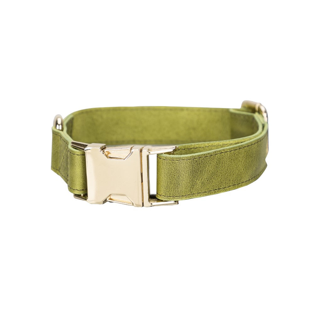 Scooby Geniune Leather Dog Collar