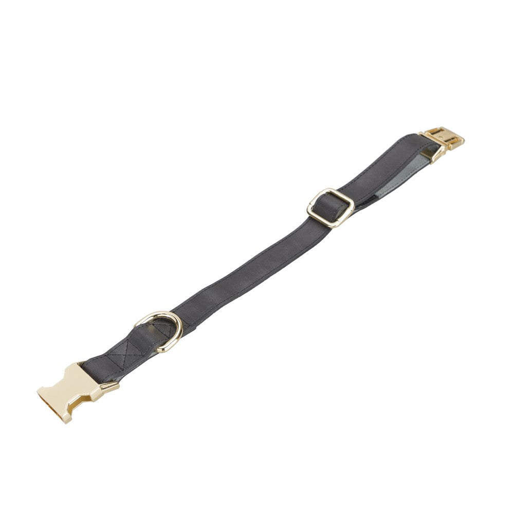 Scooby Geniune Leather Dog Collar