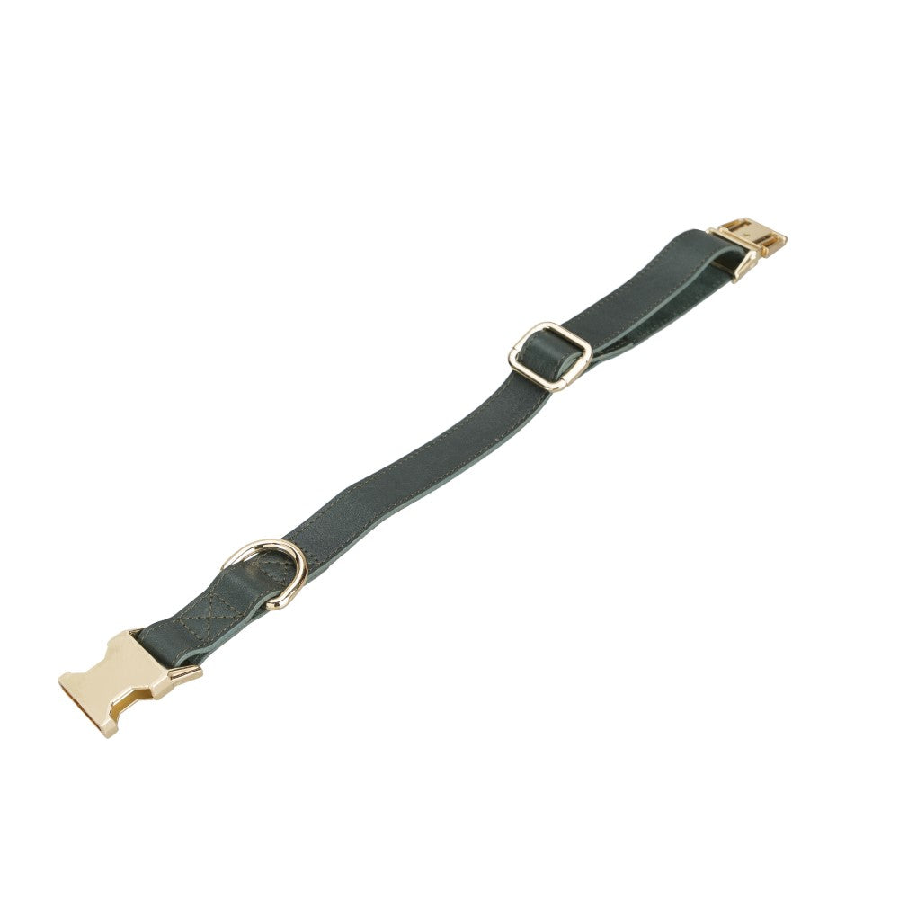 Scooby Geniune Leather Dog Collar