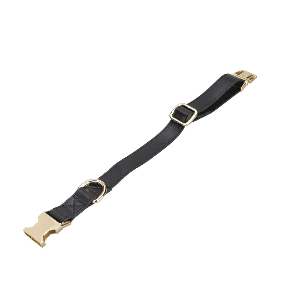 Scooby Geniune Leather Dog Collar
