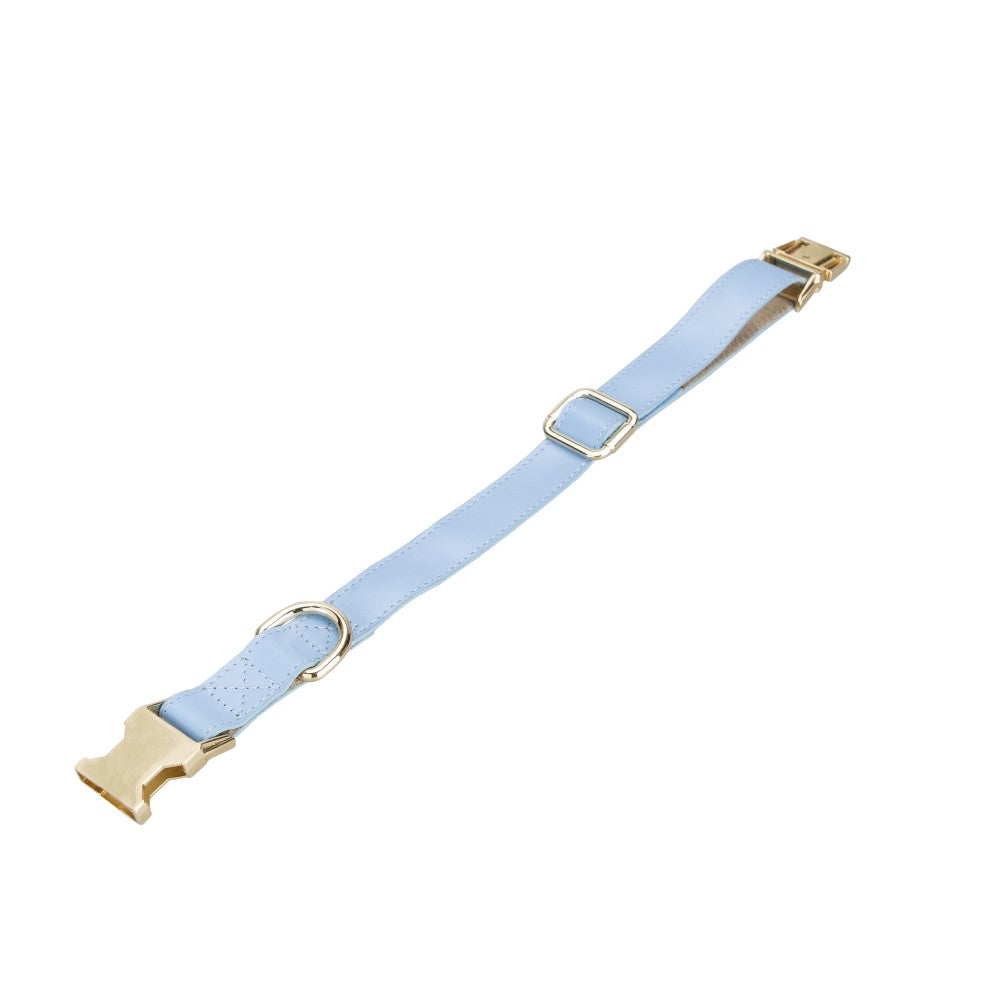 Scooby Geniune Leather Dog Collar