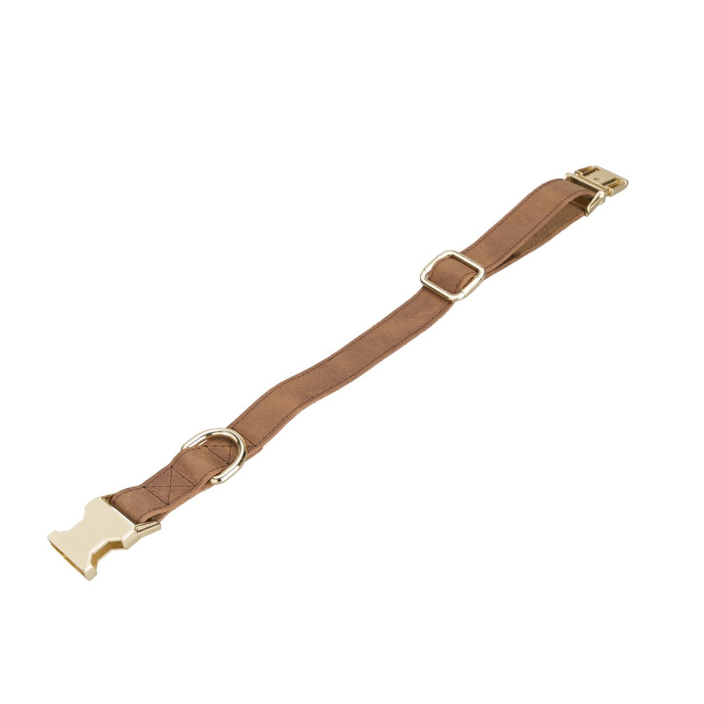 Scooby Geniune Leather Dog Collar