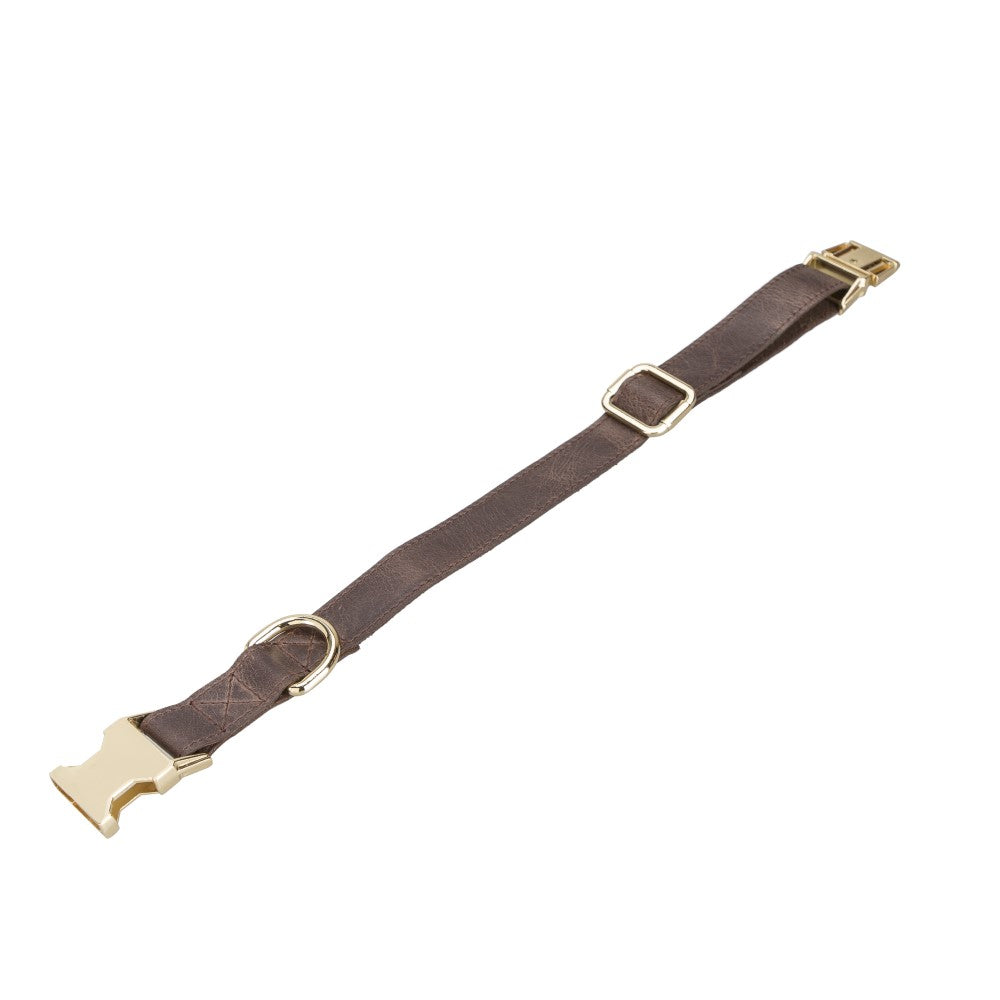Scooby Geniune Leather Dog Collar