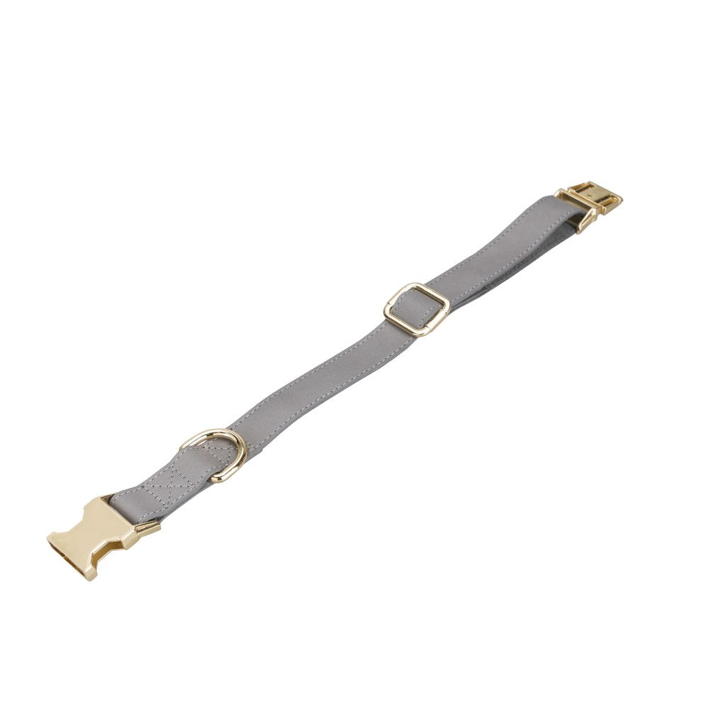 Scooby Geniune Leather Dog Collar