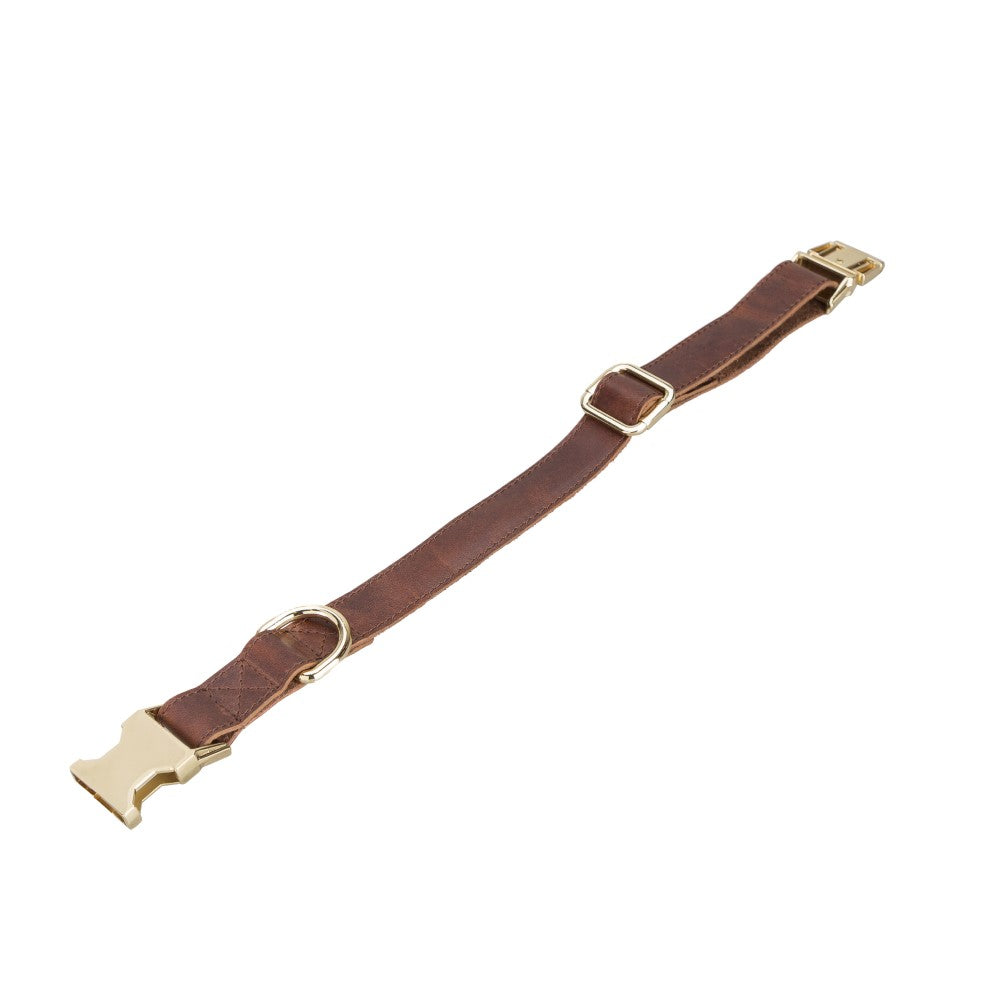 Scooby Geniune Leather Dog Collar
