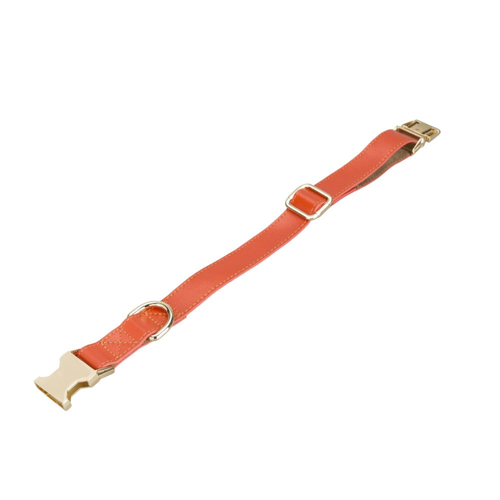 Scooby Geniune Leather Dog Collar