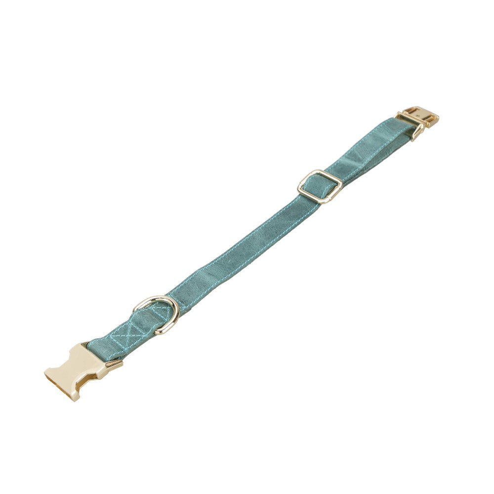 Scooby Geniune Leather Dog Collar