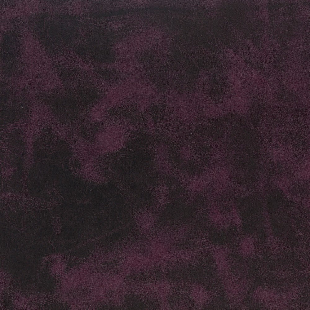 antic-g11