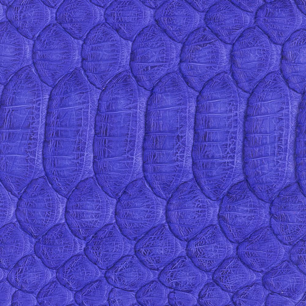 Snake SNS27