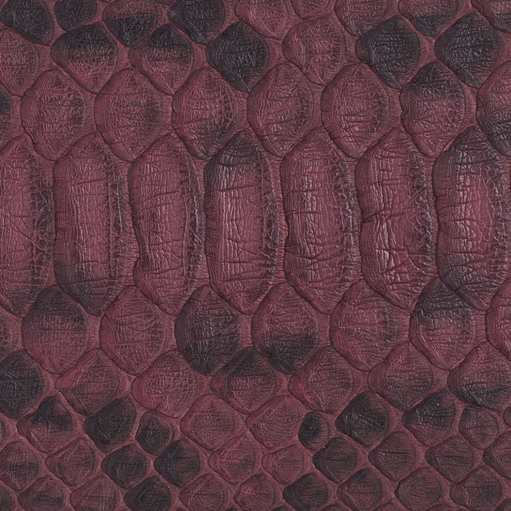 Snake SNS28
