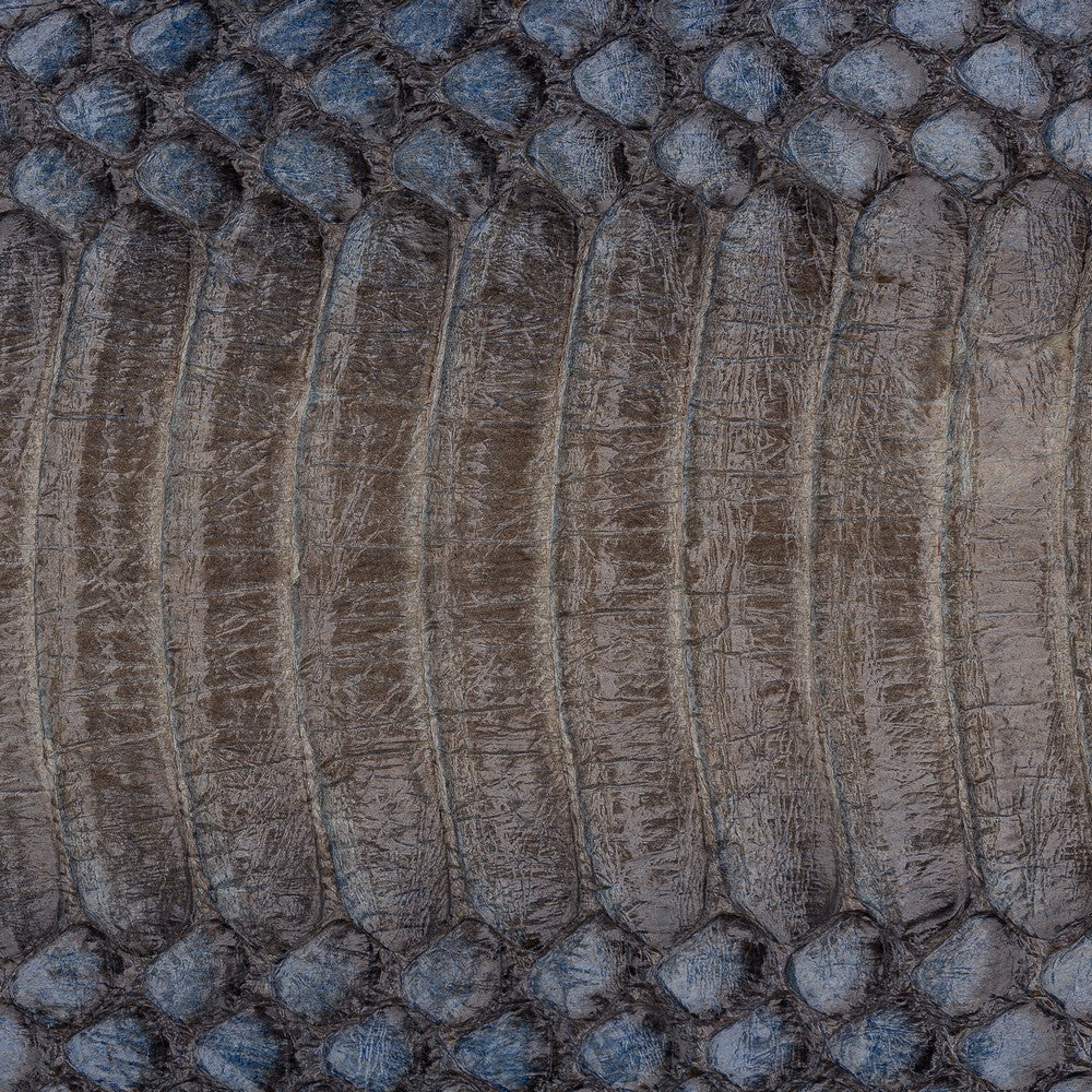 snake-sn12