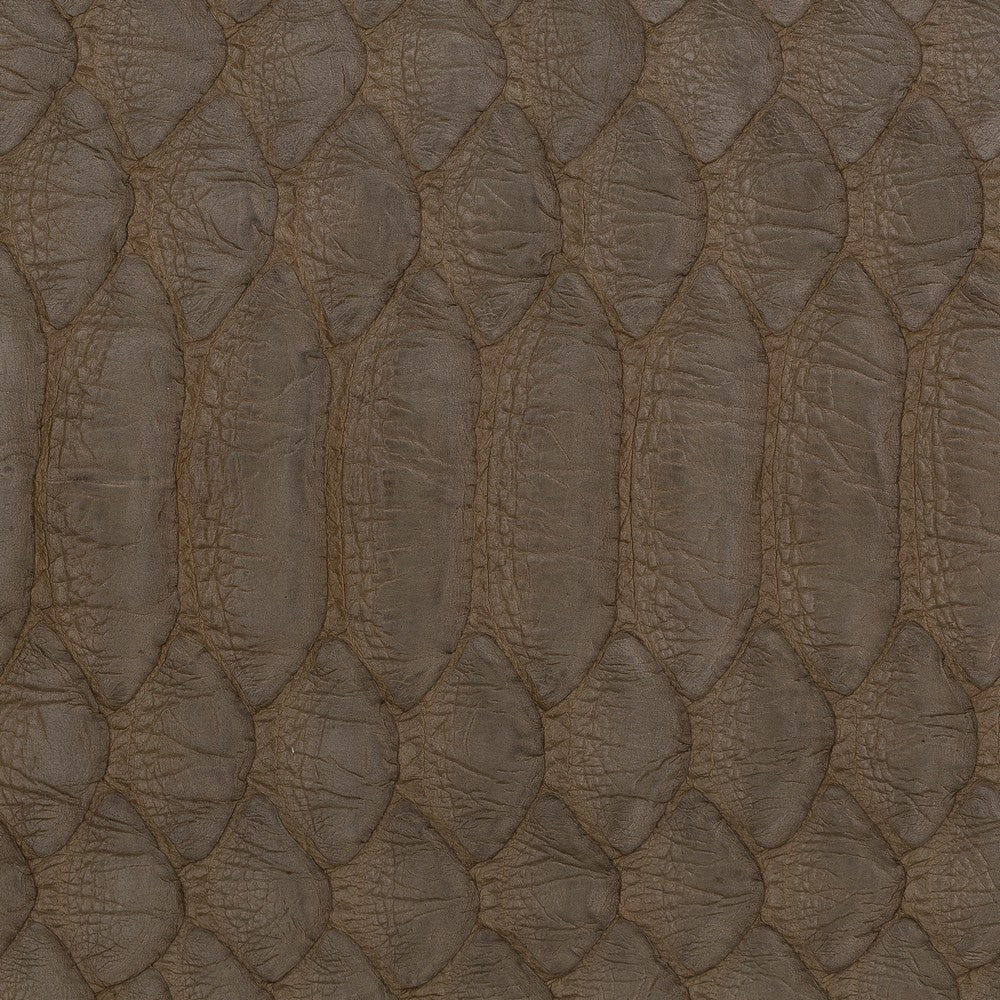 snake-sn13