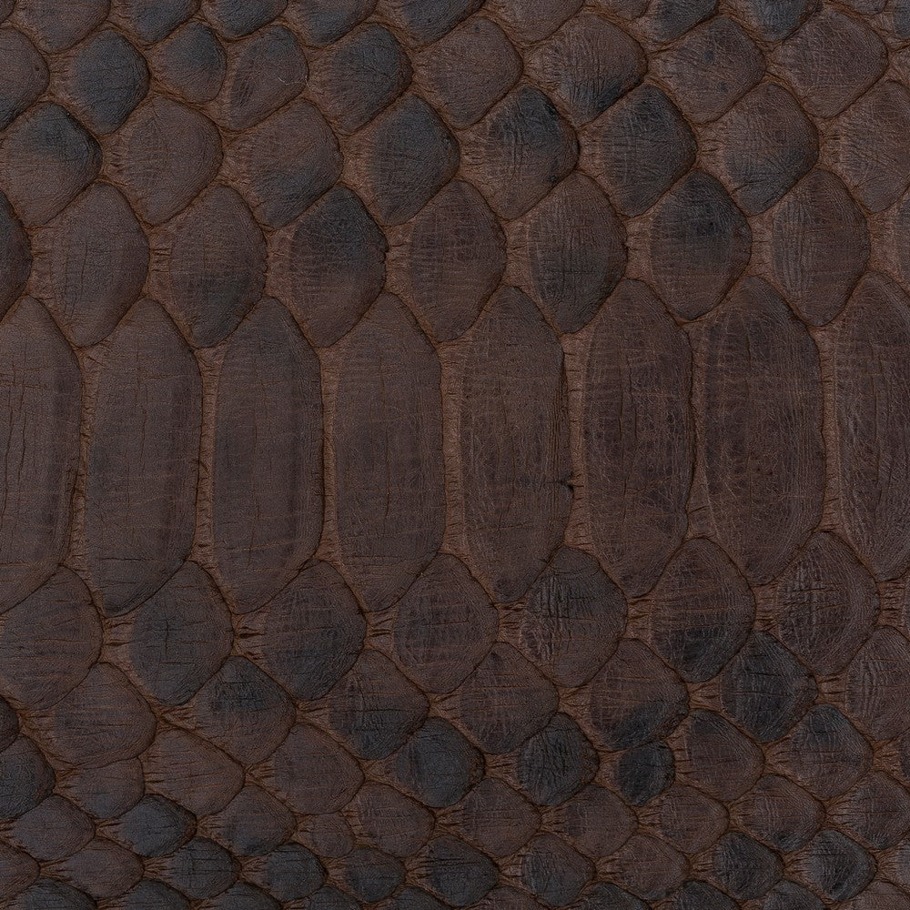 snake-sn2