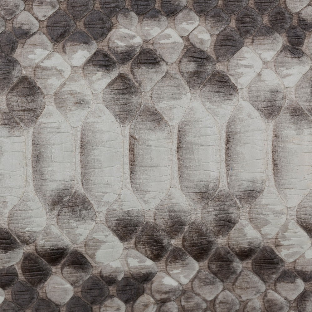 snake-sn6