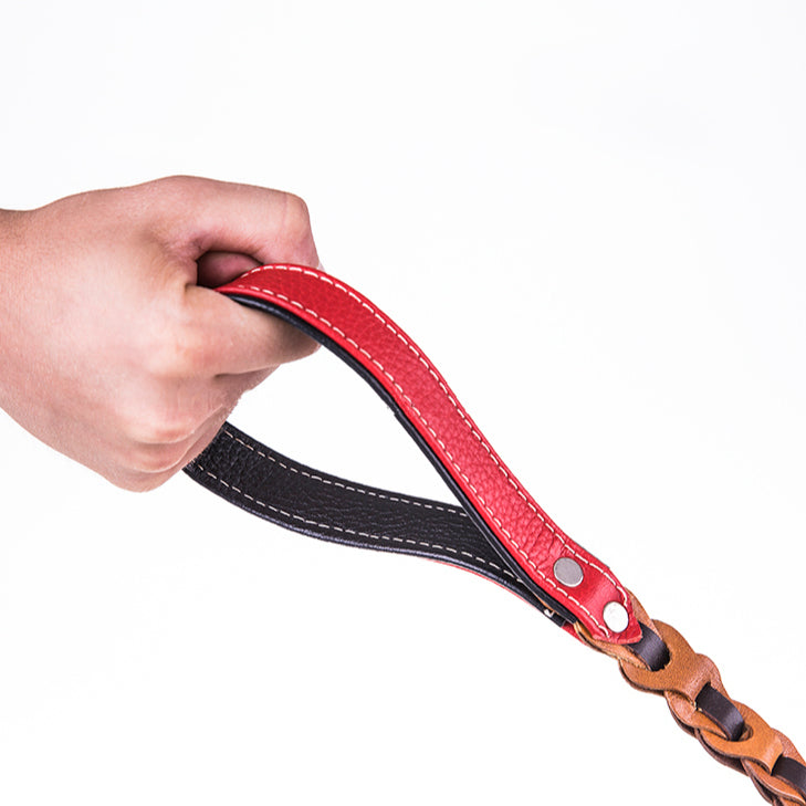 Bouletta Genuine Padded Leather Dog Collars