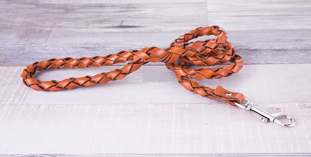 Bouletta Genuine Padded Leather Dog Collars