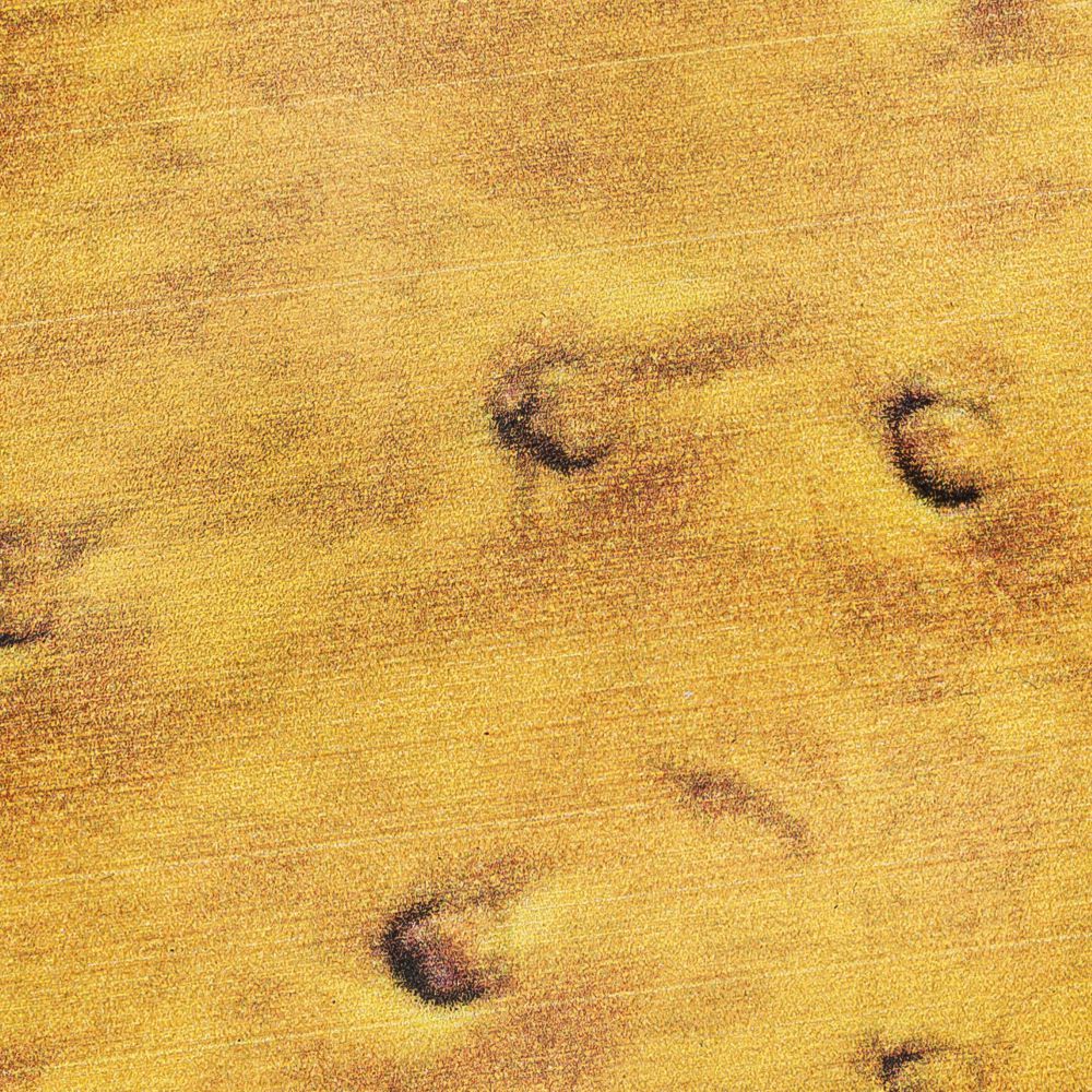 Printed YB11