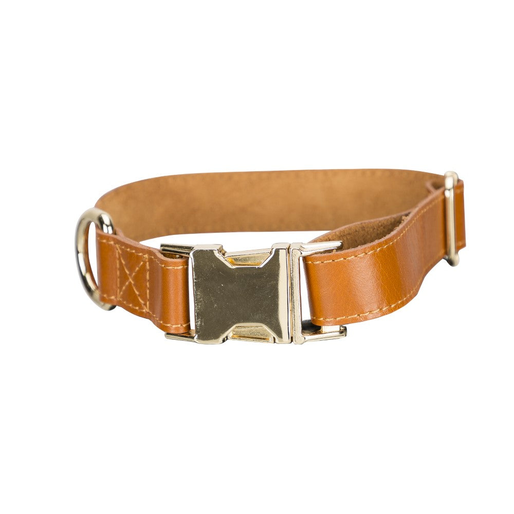 Scooby Geniune Leather Dog Collar