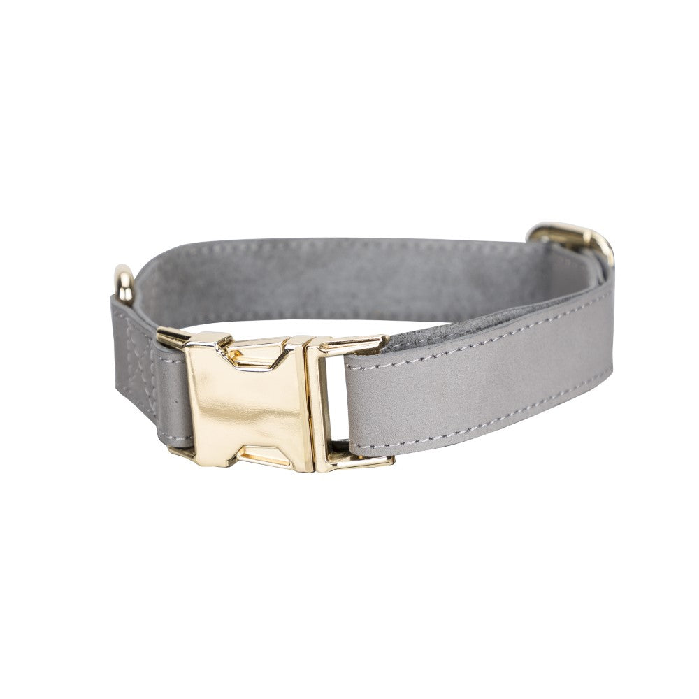 Scooby Geniune Leather Dog Collar