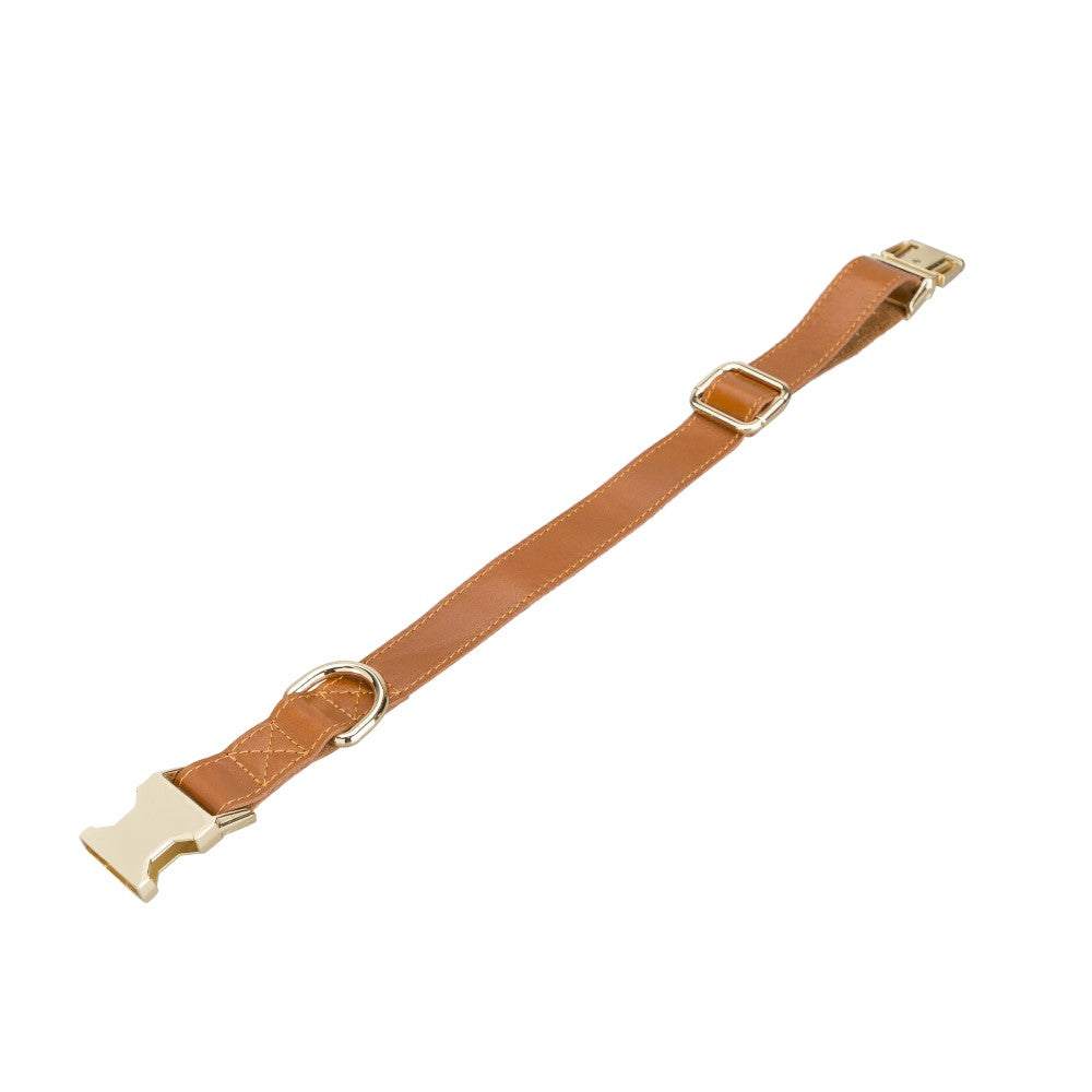 Scooby Geniune Leather Dog Collar